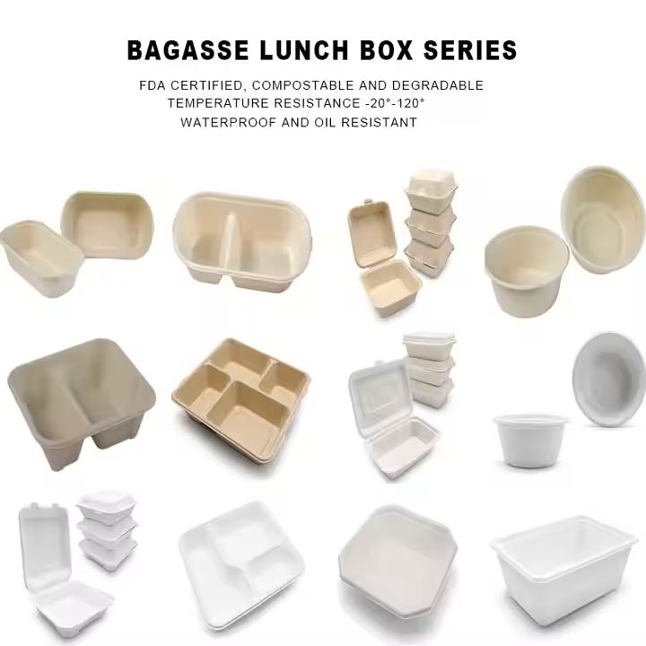 Packaging Disposable Bamboo Pulp Bagasse Salad Bowl Eco Friendly Biodegradable Lunch Box Salad Bowl 