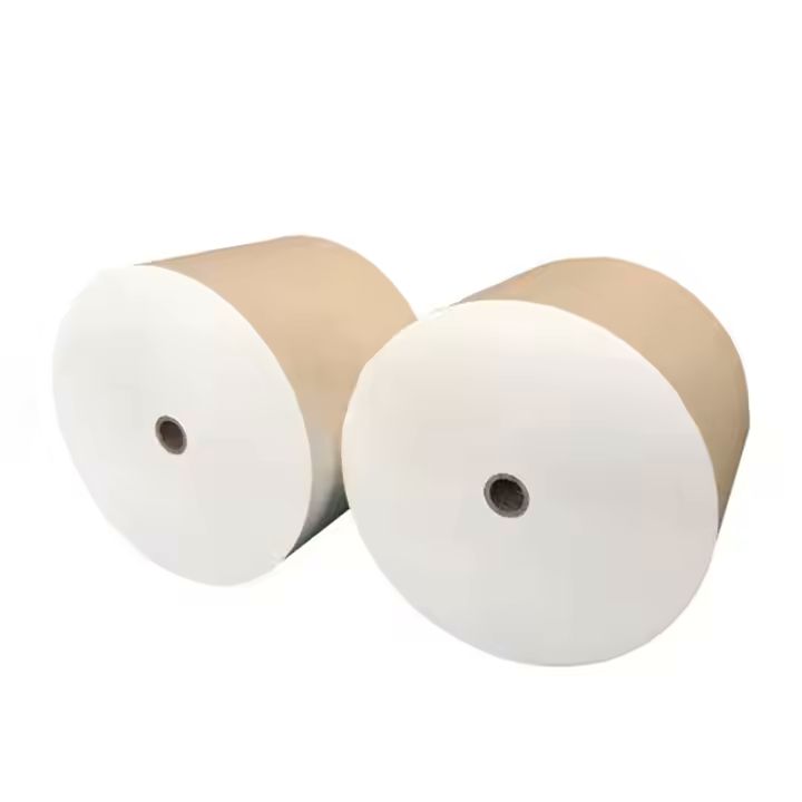 OEM Virgin Paper Disposable PE Coated Cup Sheet Custom Size Waterproof Offset Printing for Raw Mater